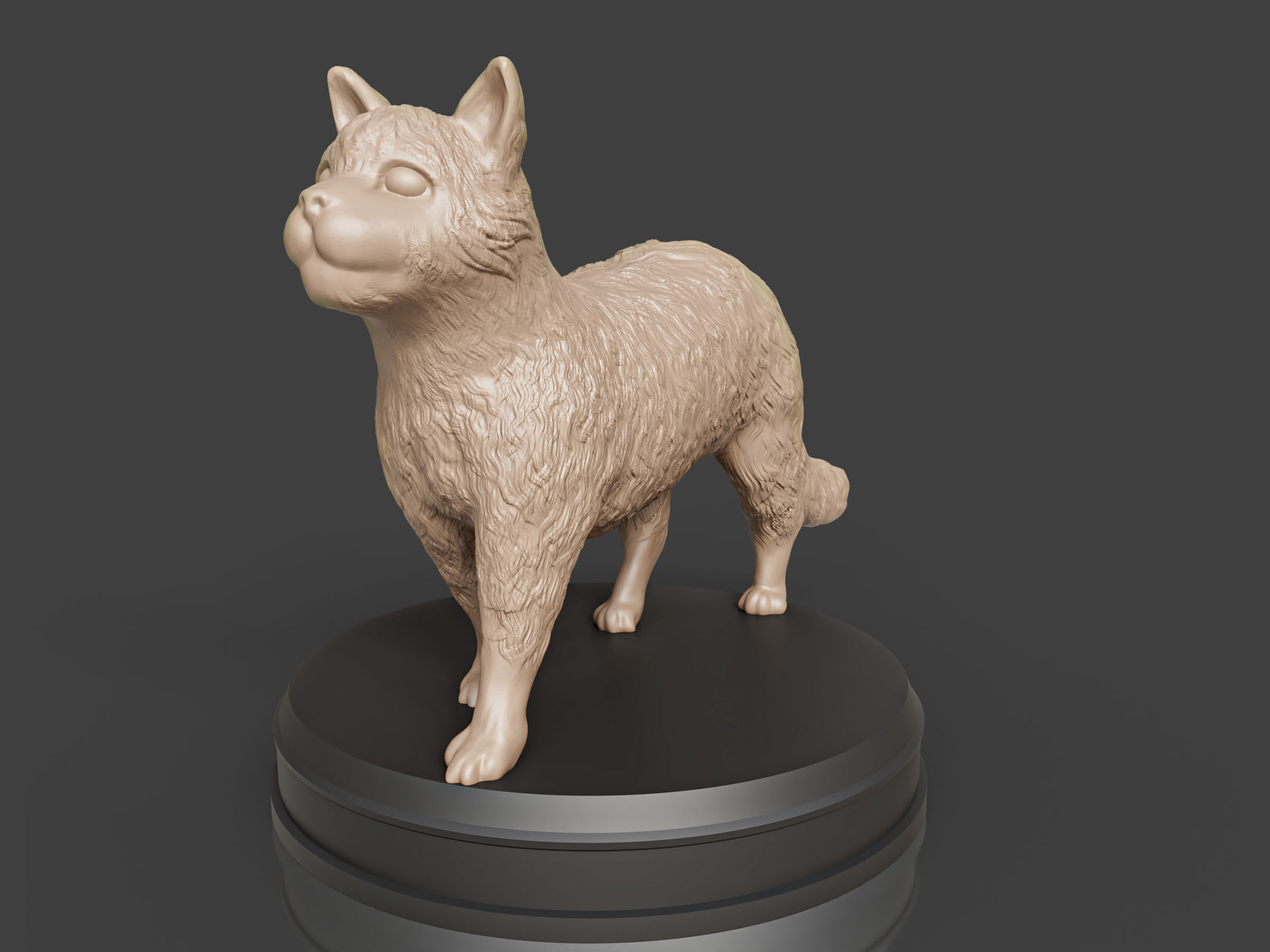 Realistic Fluffy Cat 3D print model_5