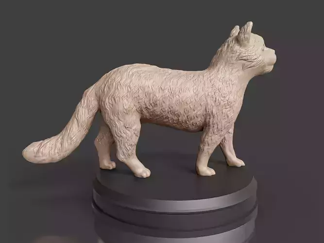 Realistic Fluffy Cat 3D print model