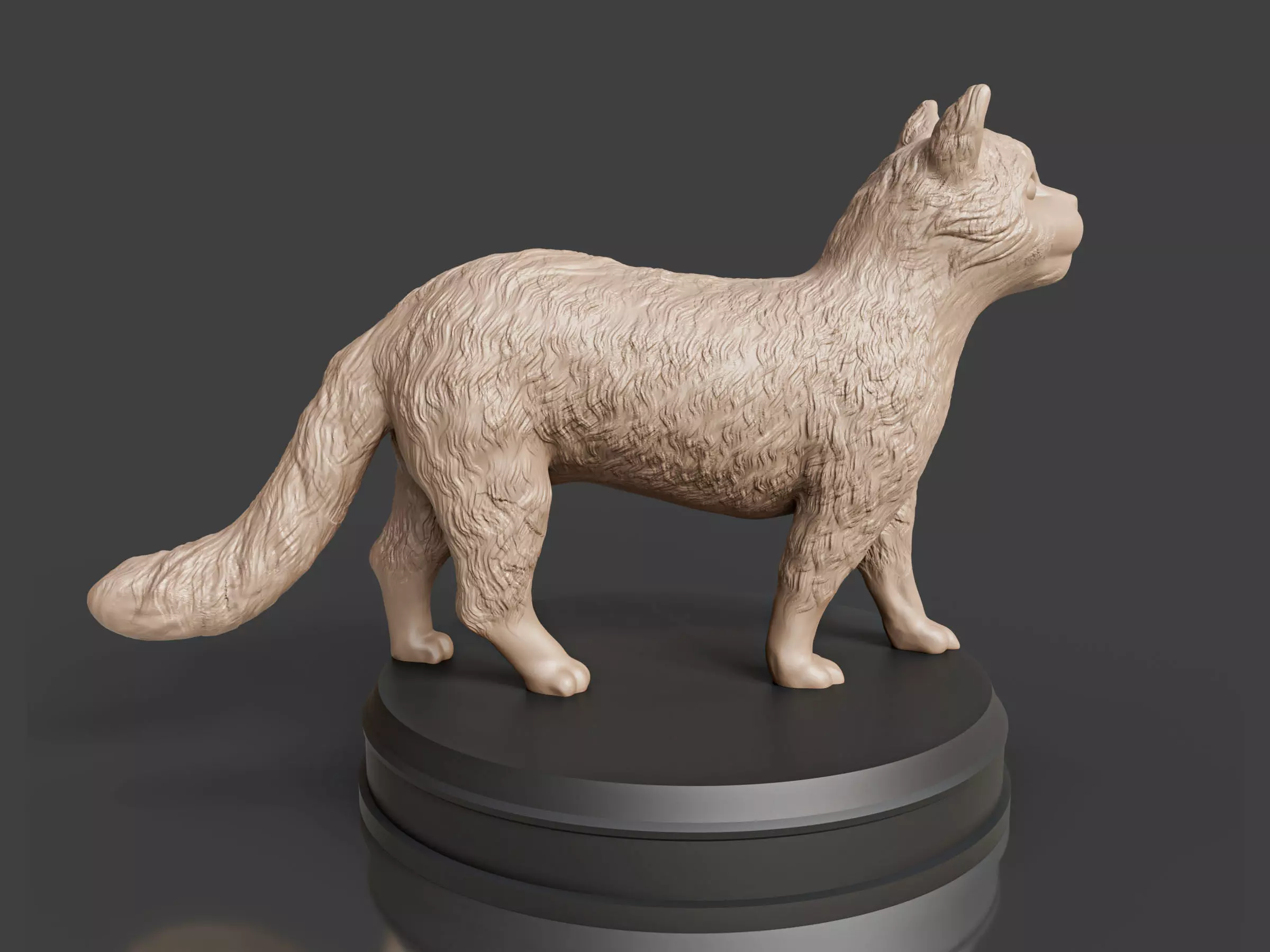 Realistic Fluffy Cat 3D print model_0