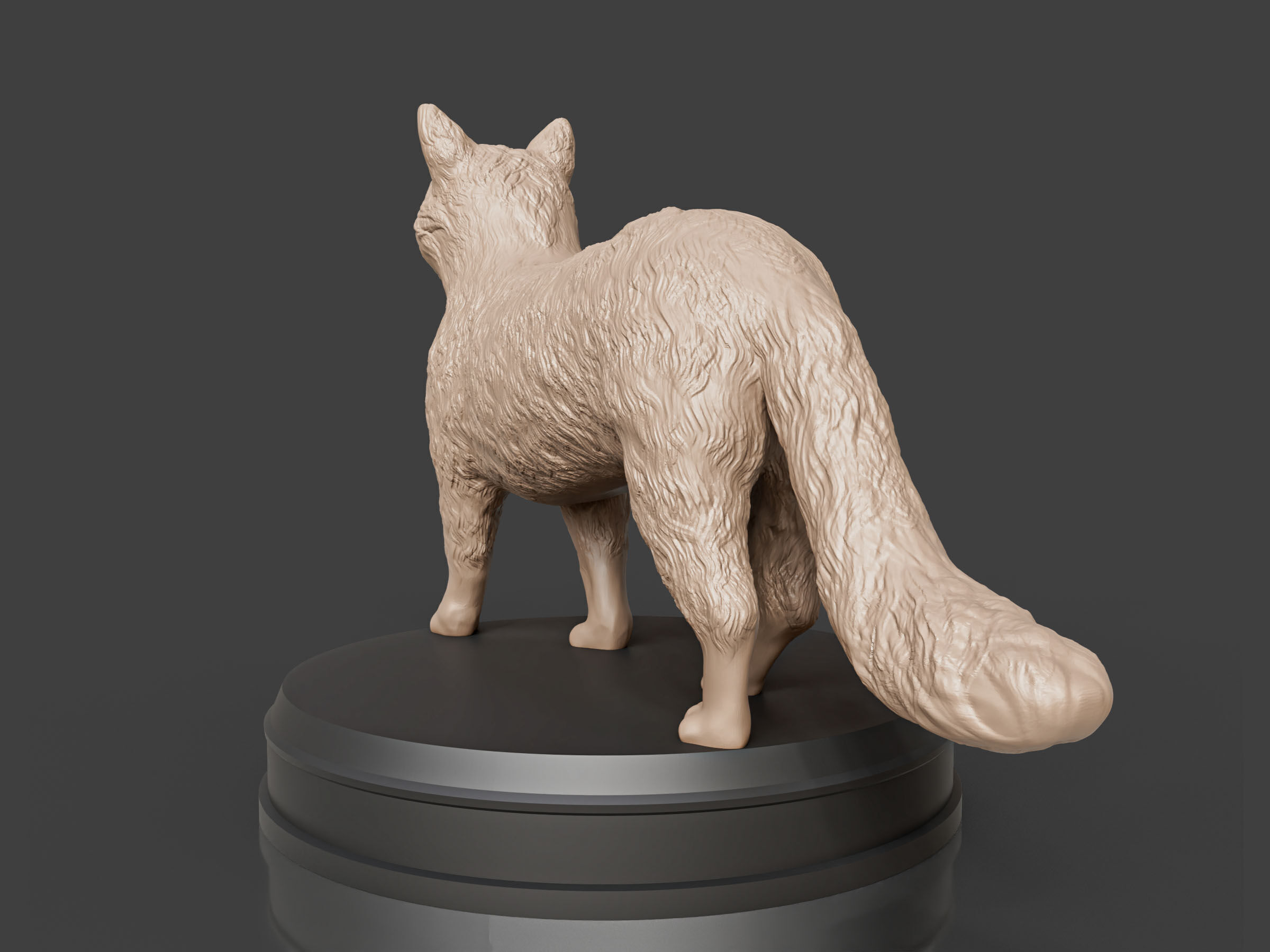 Realistic Fluffy Cat 3D print model_4