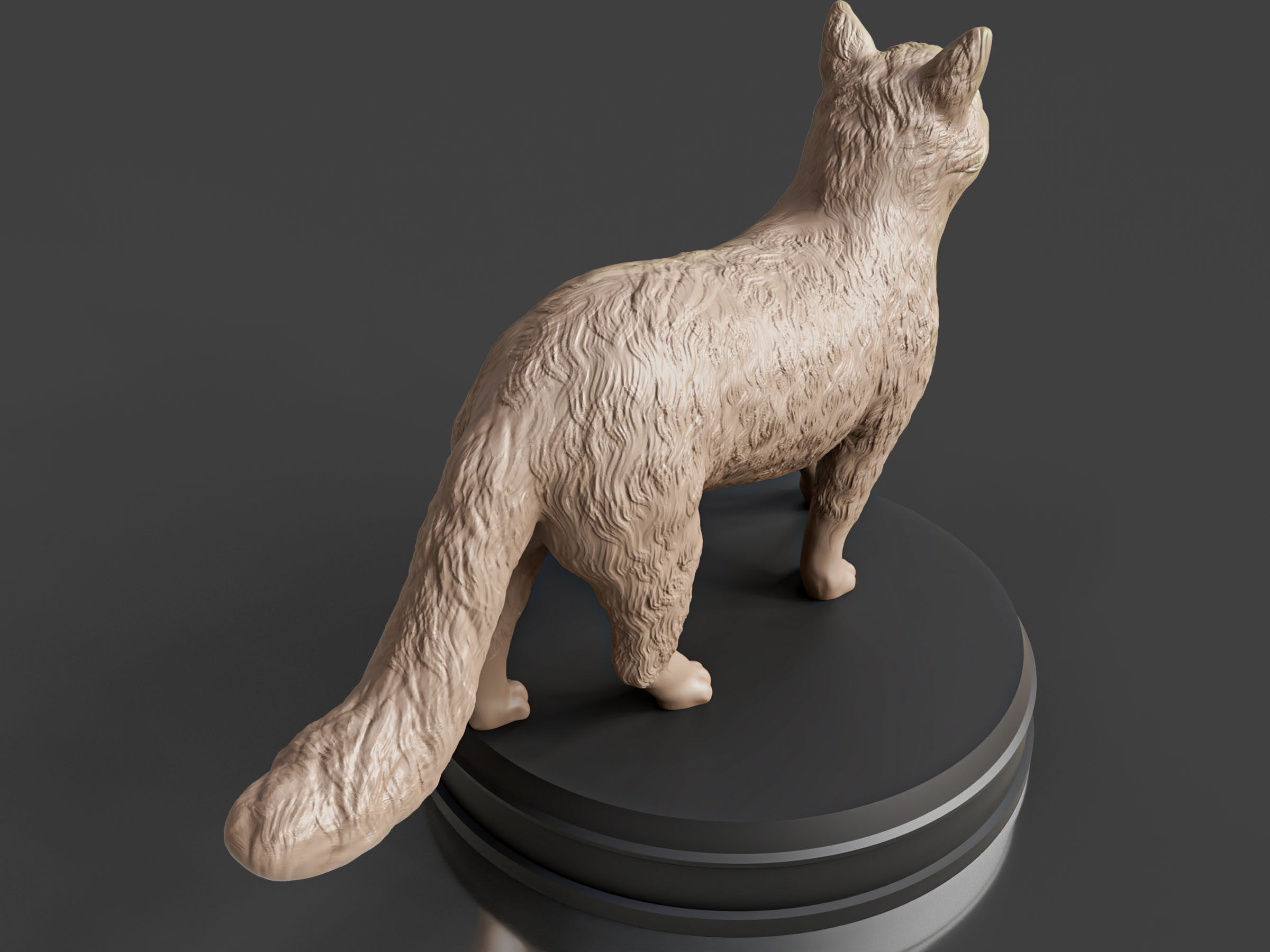 Realistic Fluffy Cat 3D print model_2