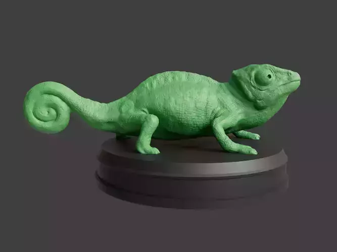Realistic Chameleon 