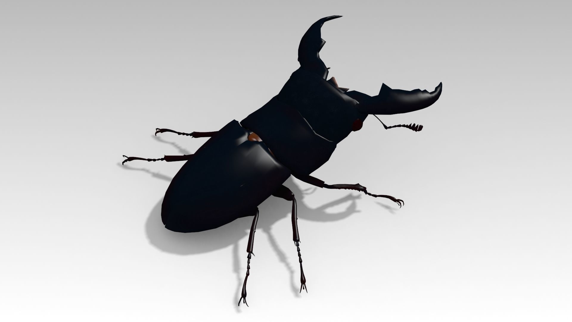Giant Stag Beetle Low-poly 3D model_5