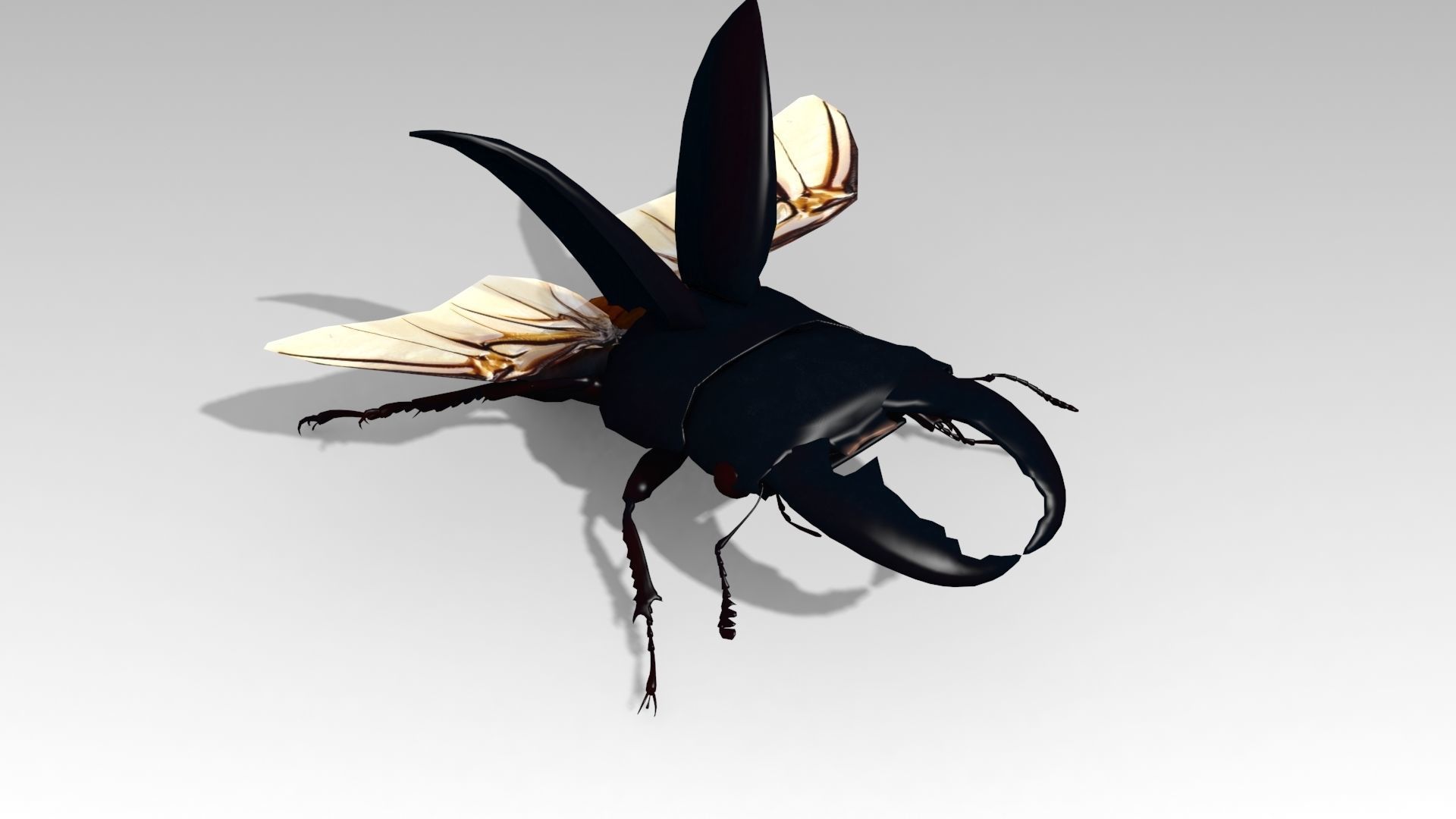 Giant Stag Beetle Low-poly 3D model_4