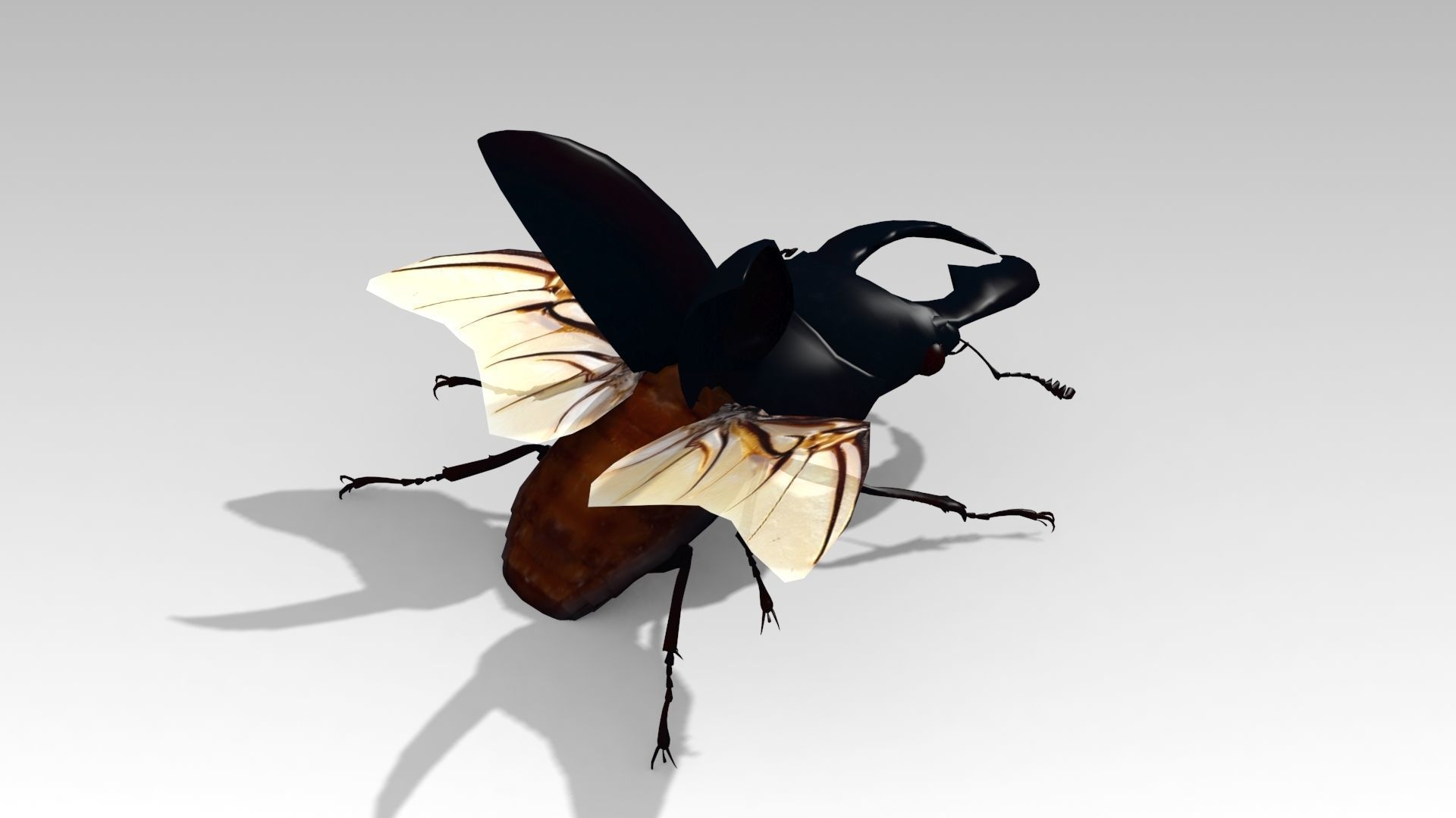 Giant Stag Beetle Low-poly 3D model_3