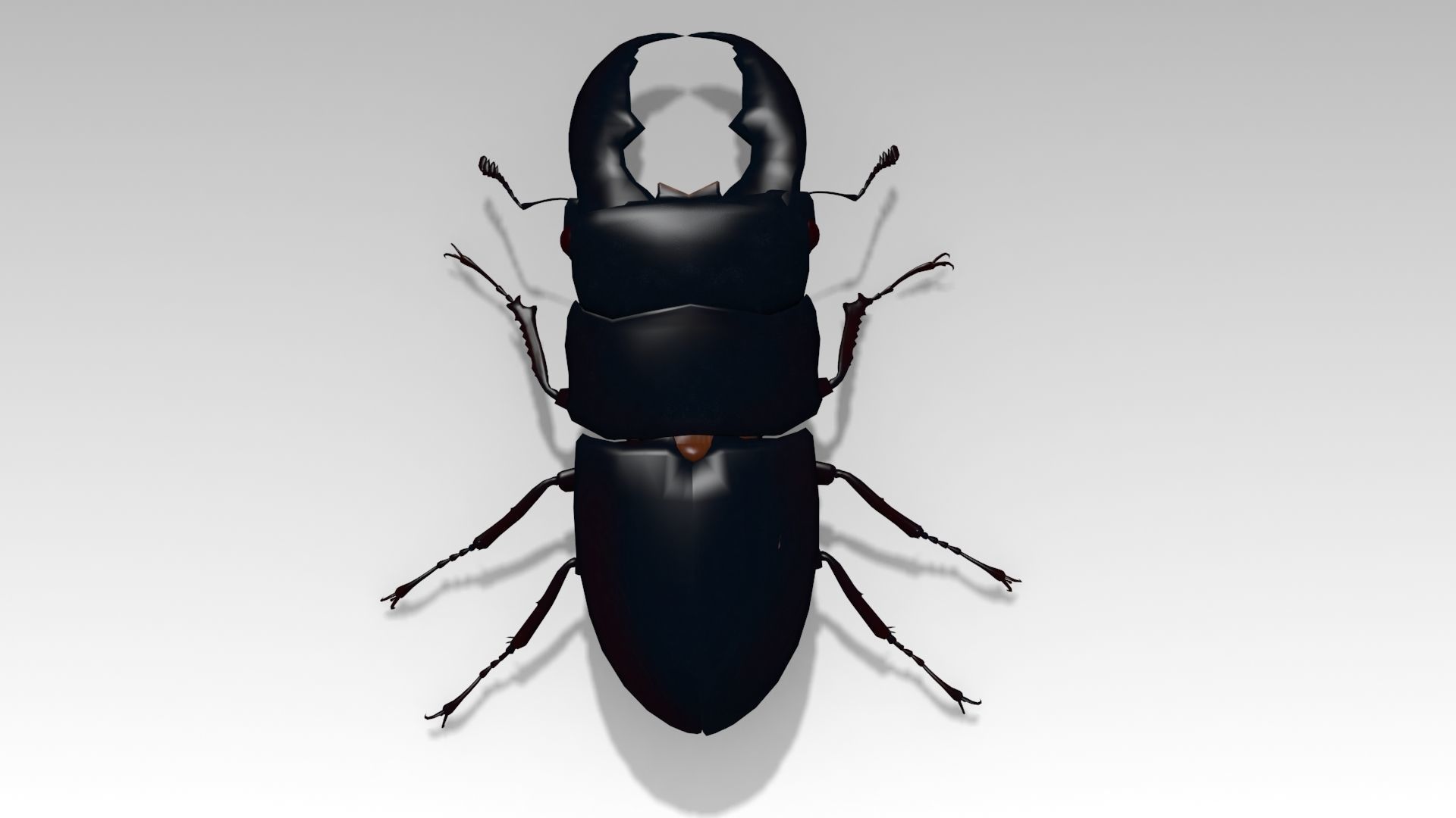 Giant Stag Beetle Low-poly 3D model_7