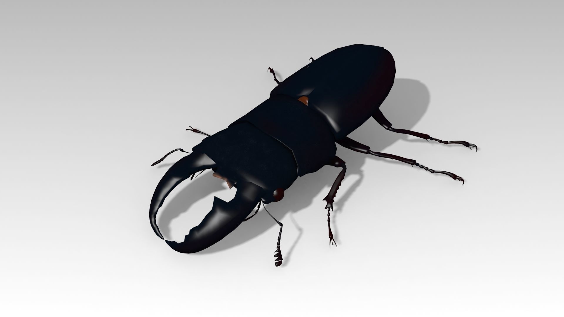 Giant Stag Beetle Low-poly 3D model_6