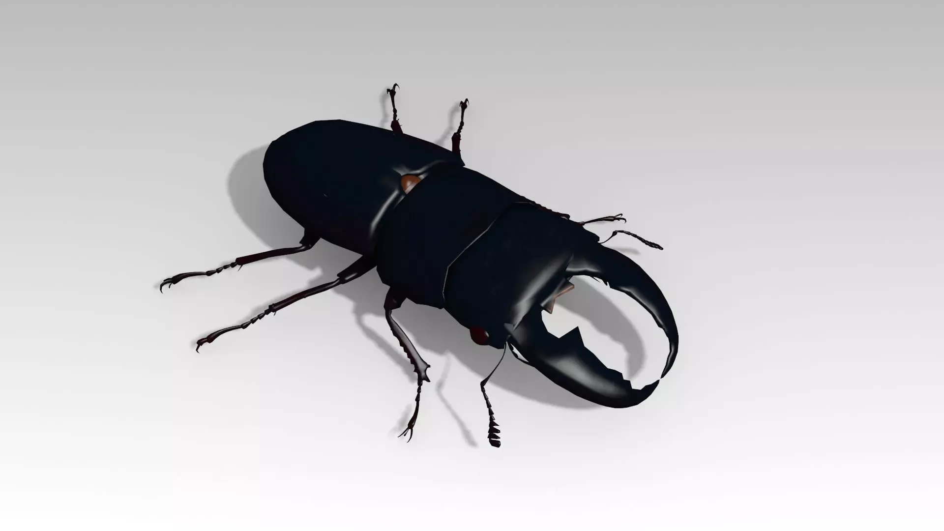 Giant Stag Beetle Low-poly 3D model_0