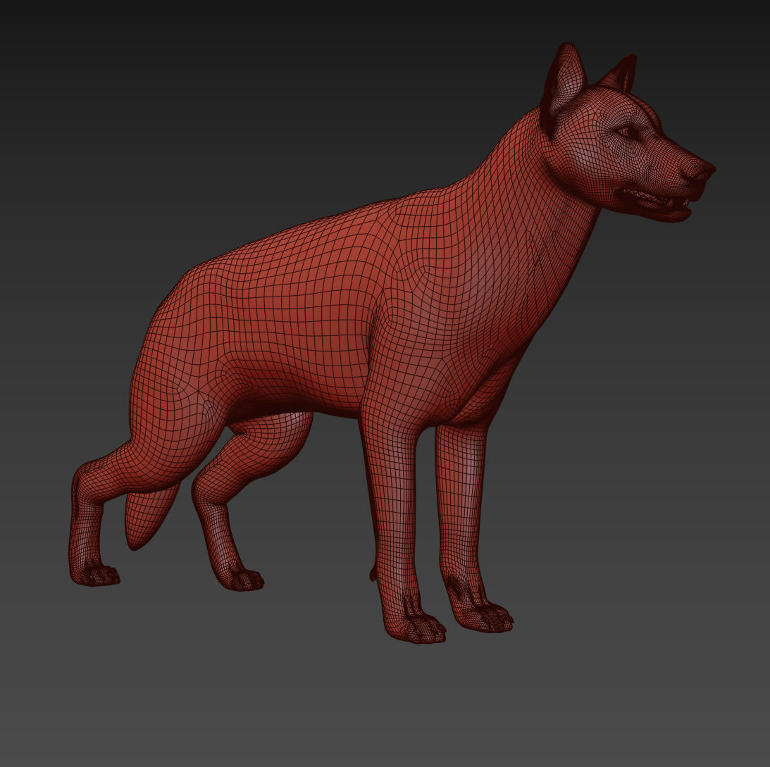 My Dog - 3d animated dog model Low-poly 3D model_30