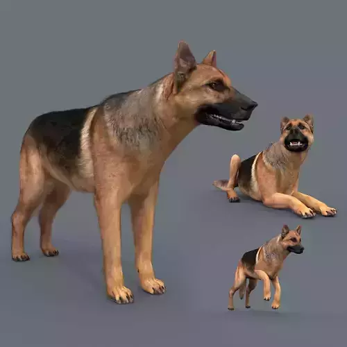 My Dog - 3d animated dog model Low-poly 3D model