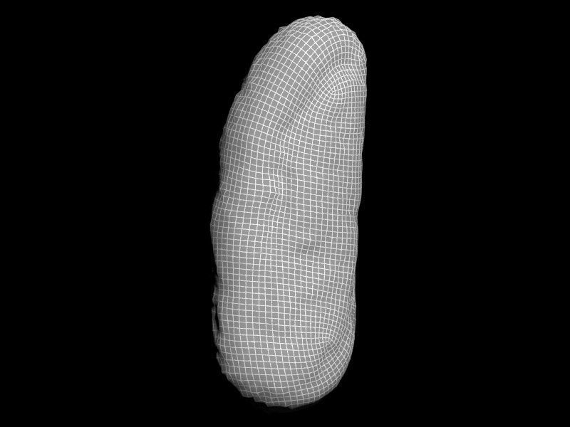 Realistic Bread 3D Modeling 3D model_6