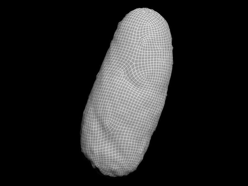 Realistic Bread 3D Modeling 3D model_5