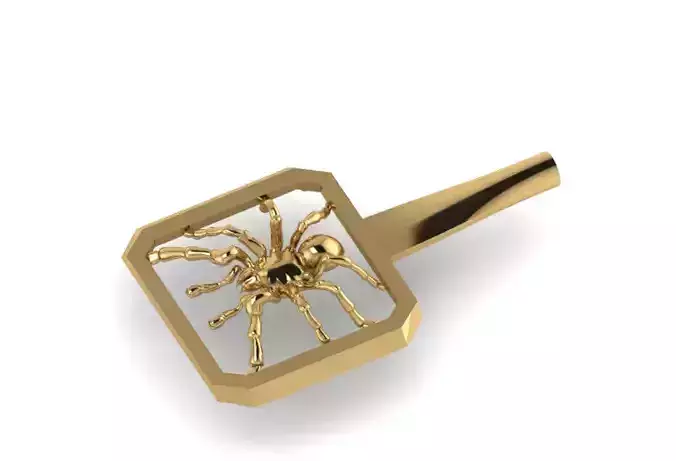Spider jewelry