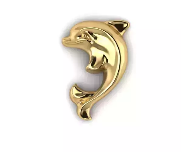 dolphin logo jewelry