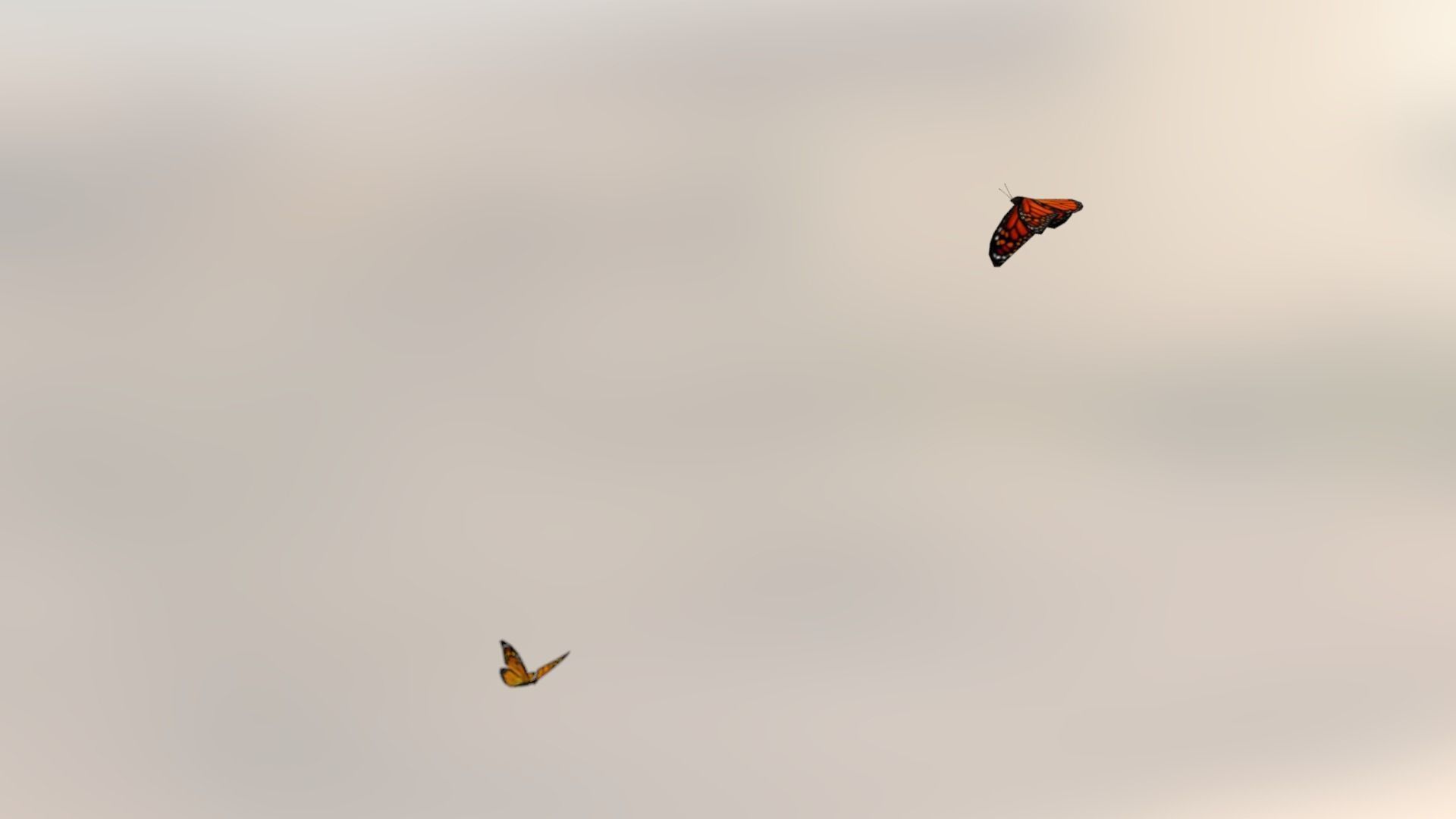 Background Butterflies and Moths Animated- Low Poly Low-poly 3D model_3