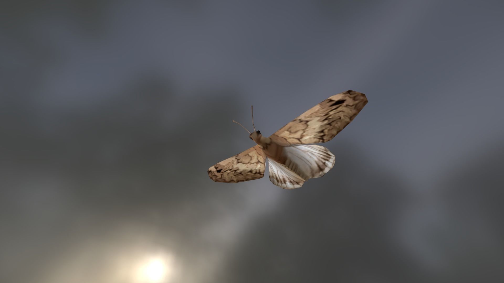 Background Butterflies and Moths Animated- Low Poly Low-poly 3D model_6