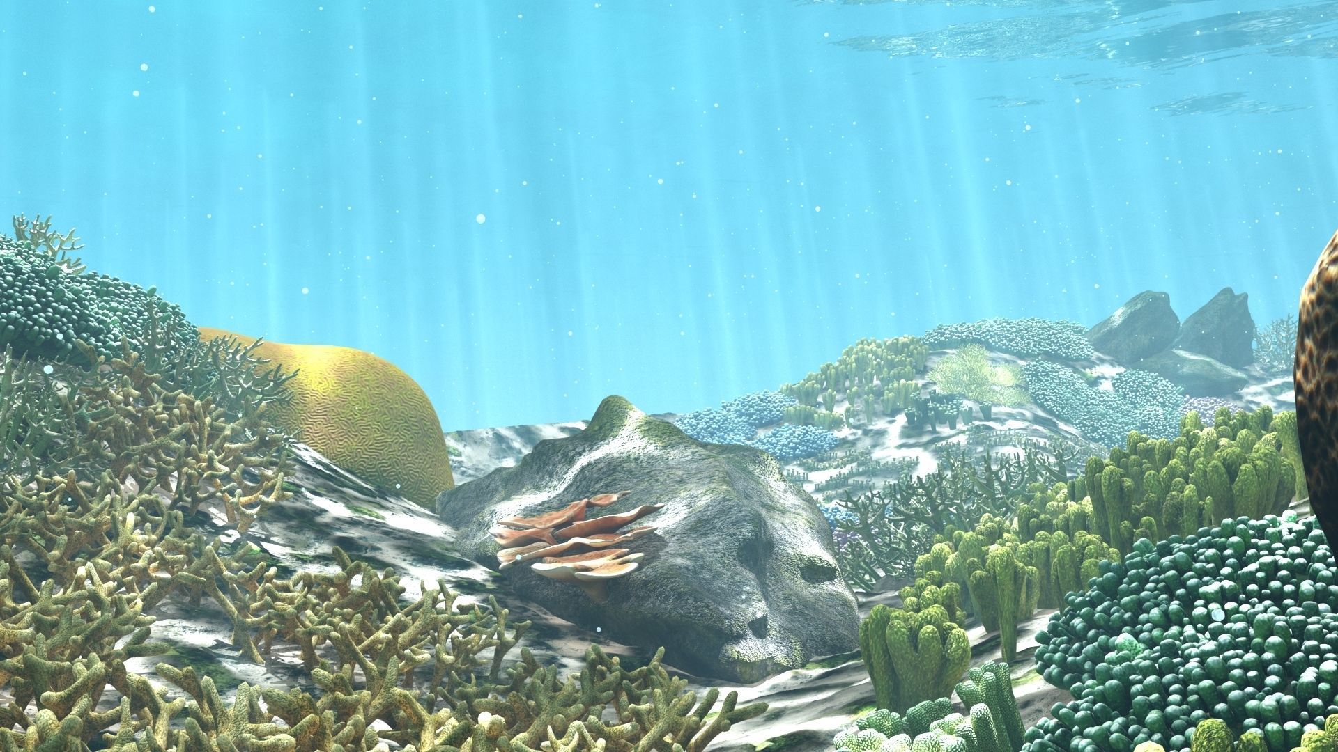 3D Cartoon Underwater Coral Reef Habitat Ocean Version 2 Low-poly 3D model_5