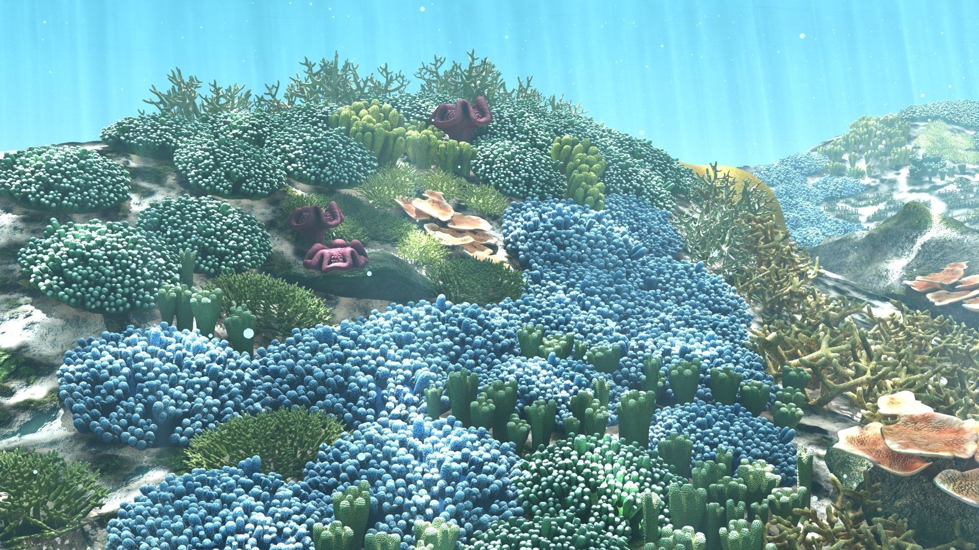 3D Cartoon Underwater Coral Reef Habitat Ocean Version 2 Low-poly 3D model_6