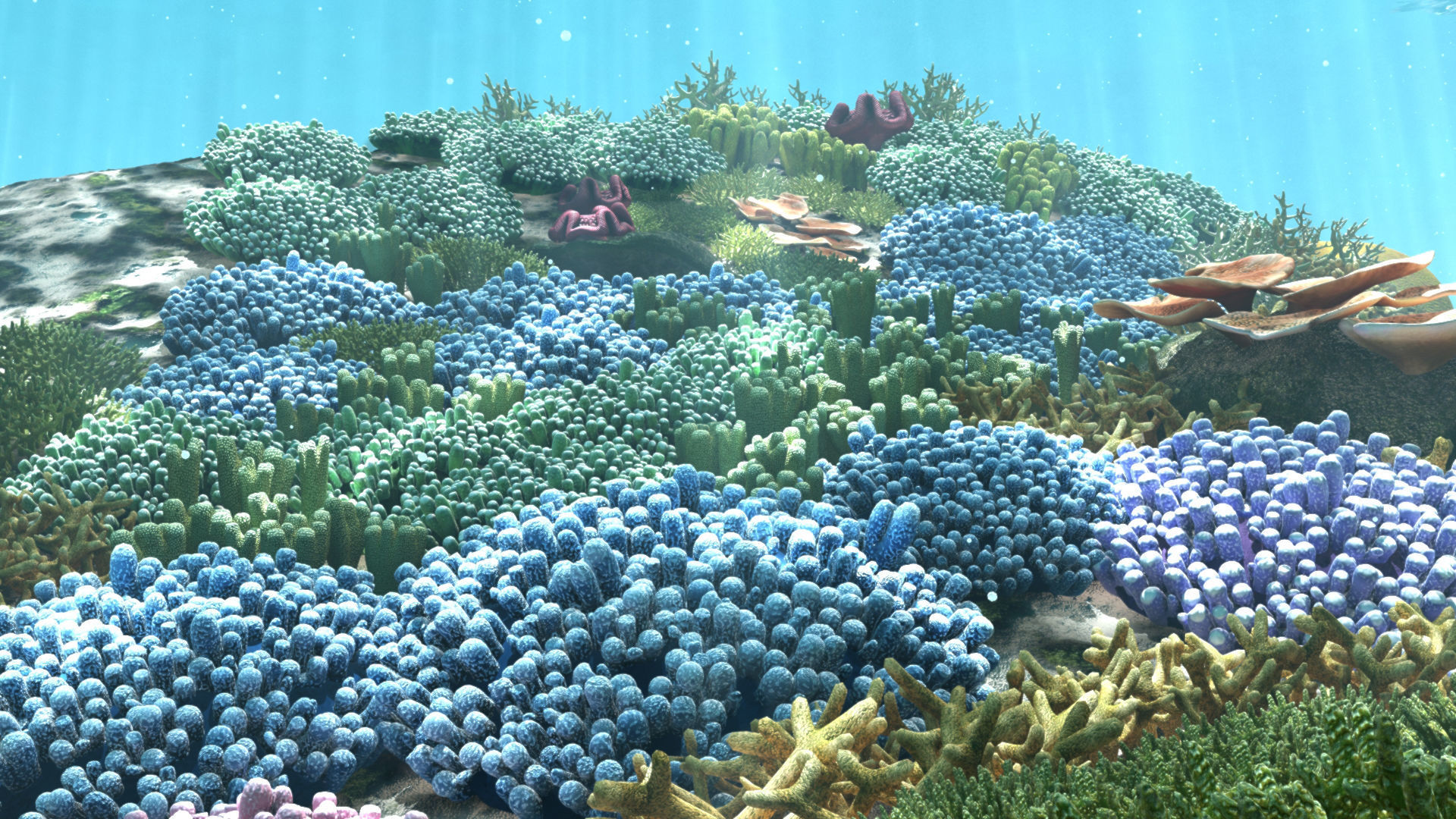 3D Cartoon Underwater Coral Reef Habitat Ocean Version 2 Low-poly 3D model_3