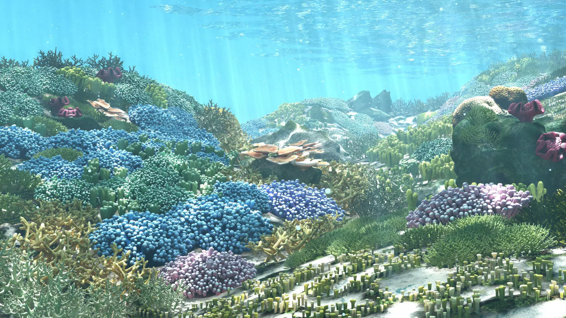 3D Cartoon Underwater Coral Reef Habitat Ocean Version 2 Low-poly 3D model_0