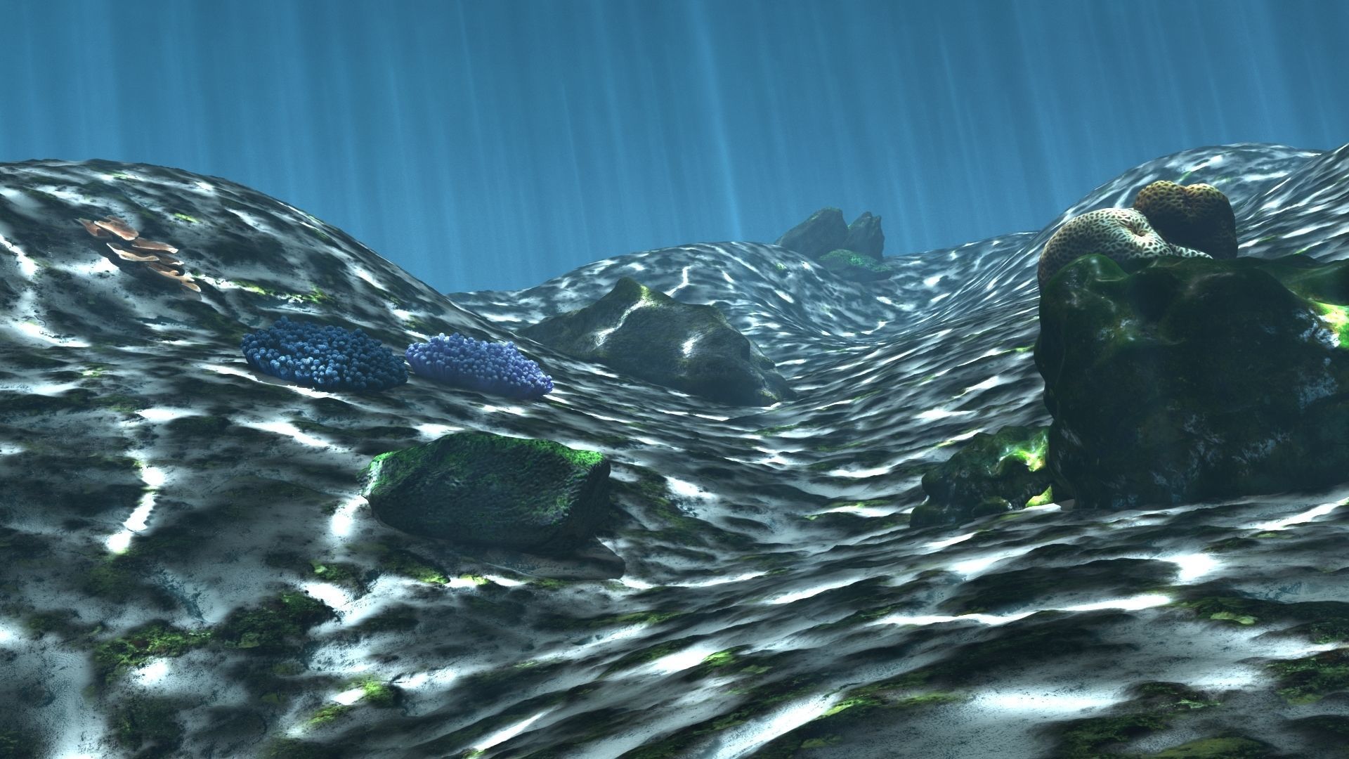 3D Cartoon Underwater Coral Reef Habitat Ocean Version 2 Low-poly 3D model_17