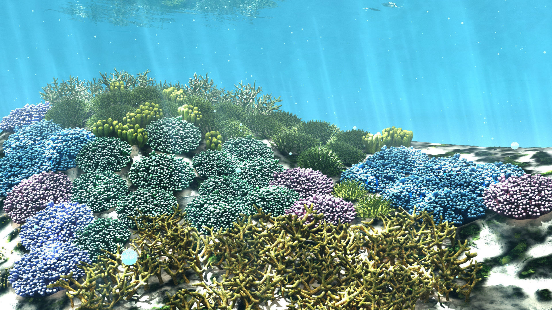 3D Cartoon Underwater Coral Reef Habitat Ocean Version 2 Low-poly 3D model_8