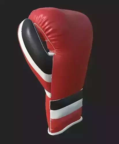 Boxing Glove