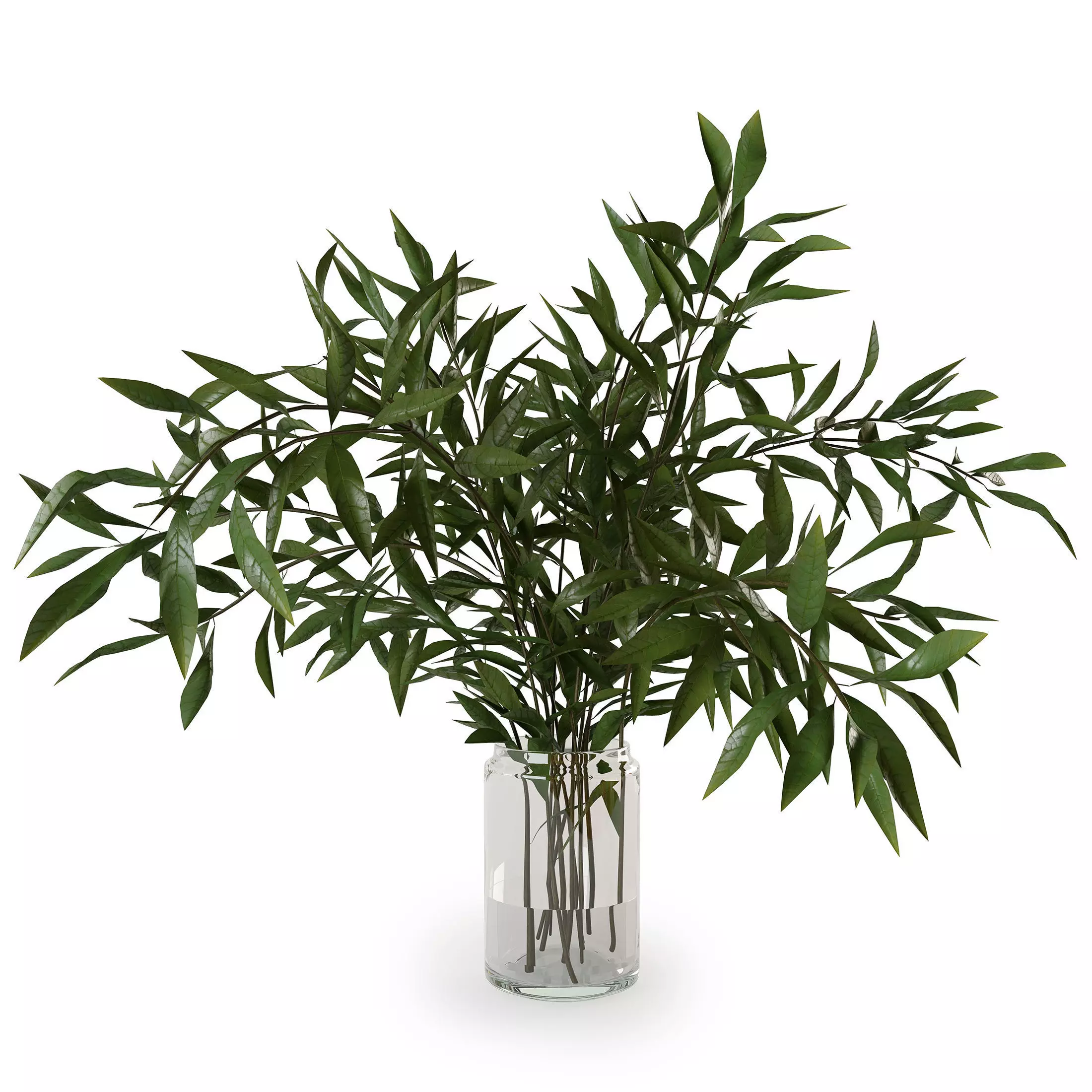 Branches in a vase 007 3D model_0
