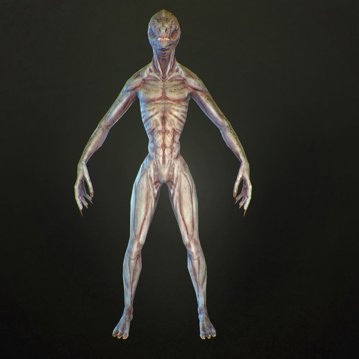 Character Reptile Animation Rig Low-poly 3D model_6