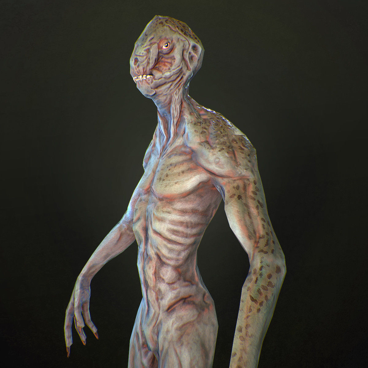 Character Reptile Animation Rig Low-poly 3D model_8