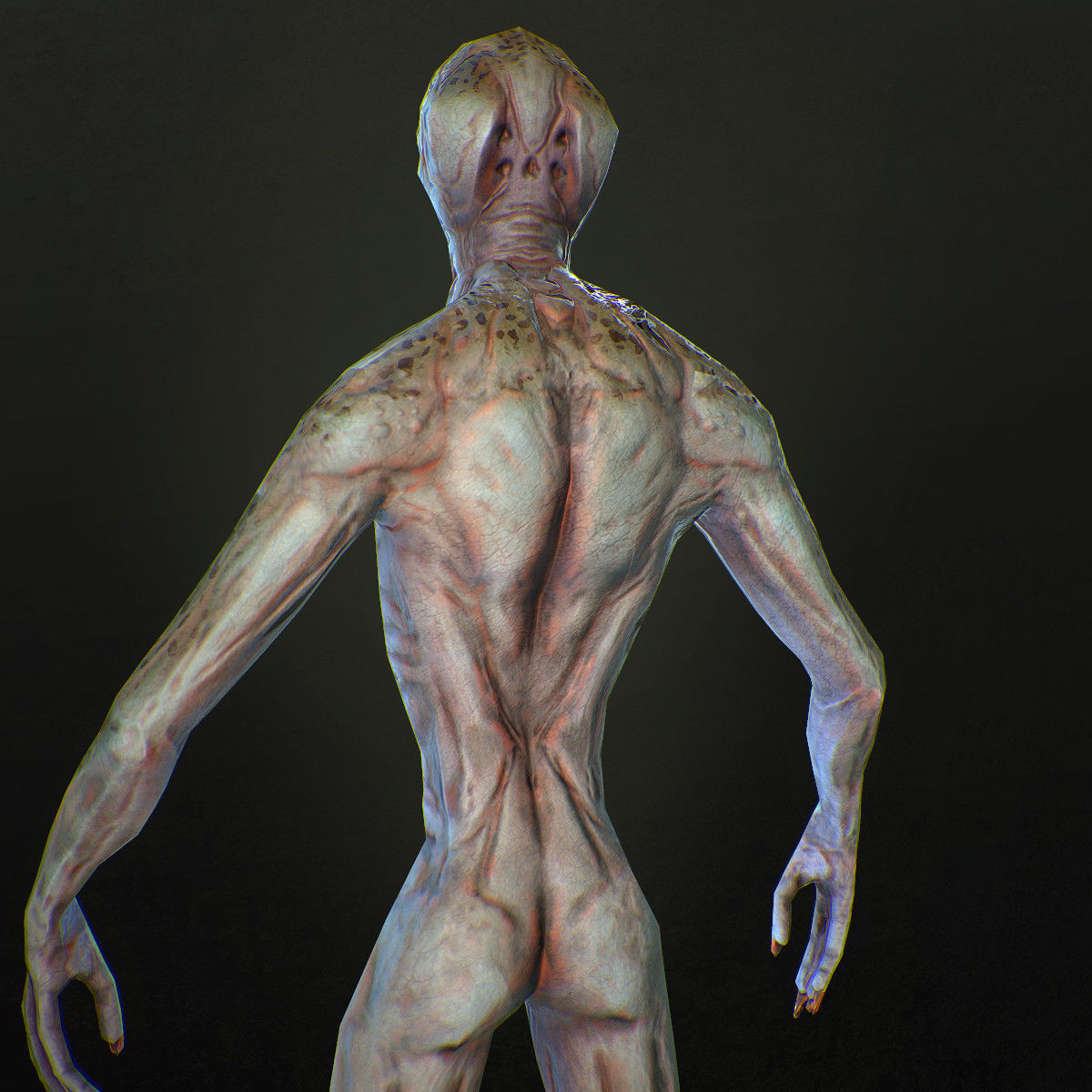 Character Reptile Animation Rig Low-poly 3D model_9