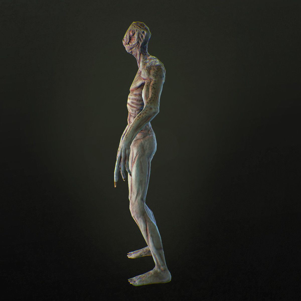 Character Reptile Animation Rig Low-poly 3D model_7