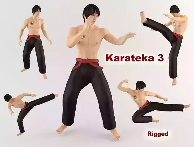 Karateka 3 karate