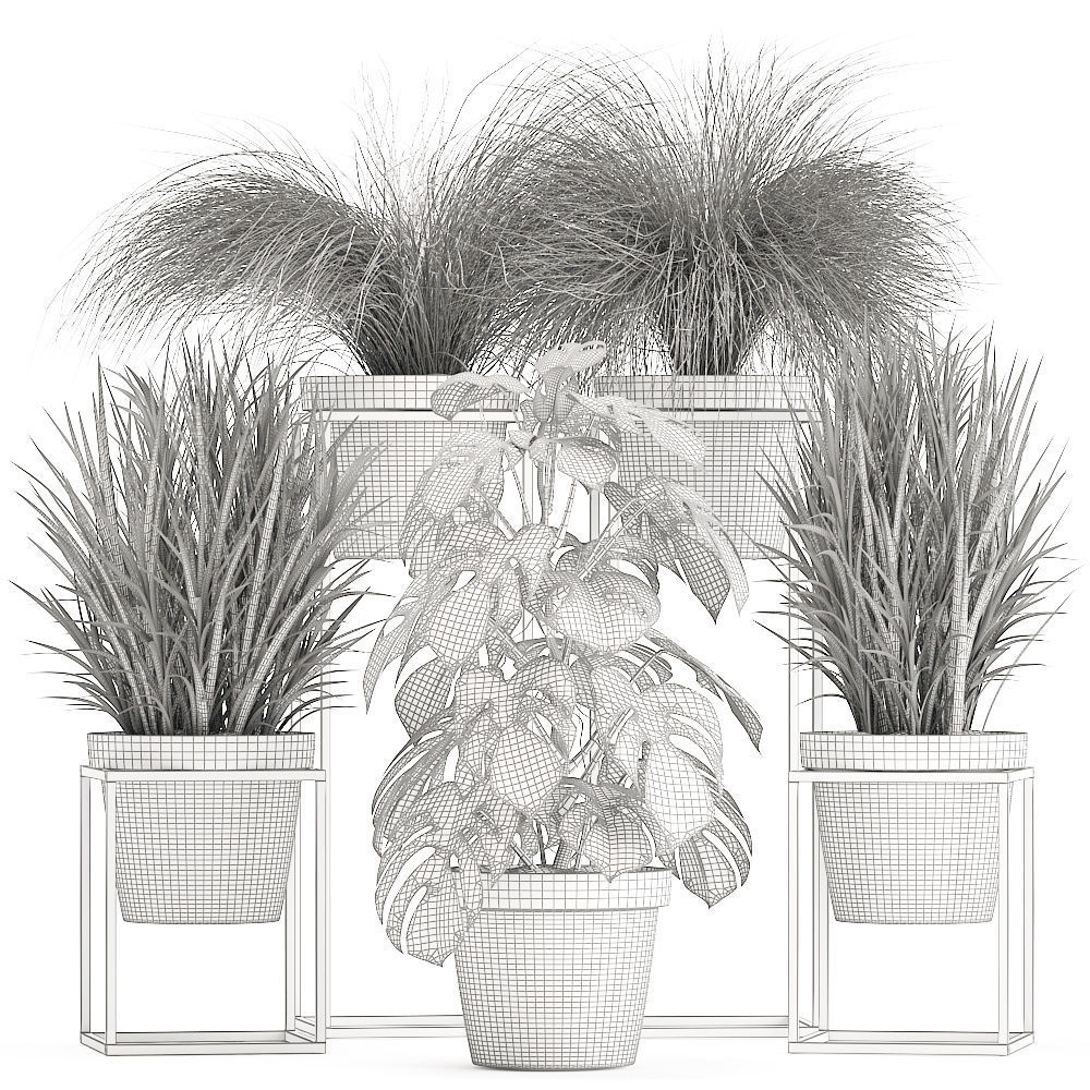 Collection of Exotic Plants 3D model_7