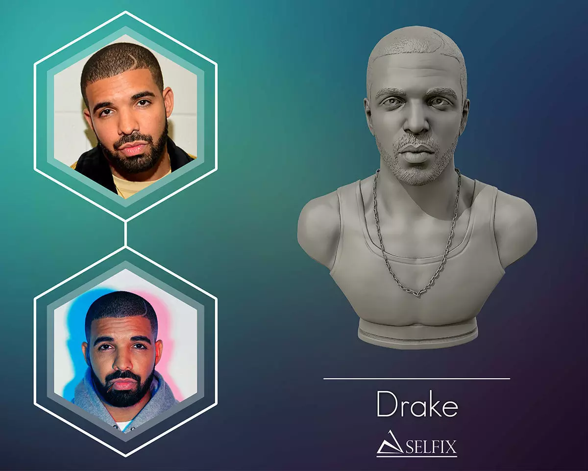 Drake sculpture Ready to Print 3D print model_0