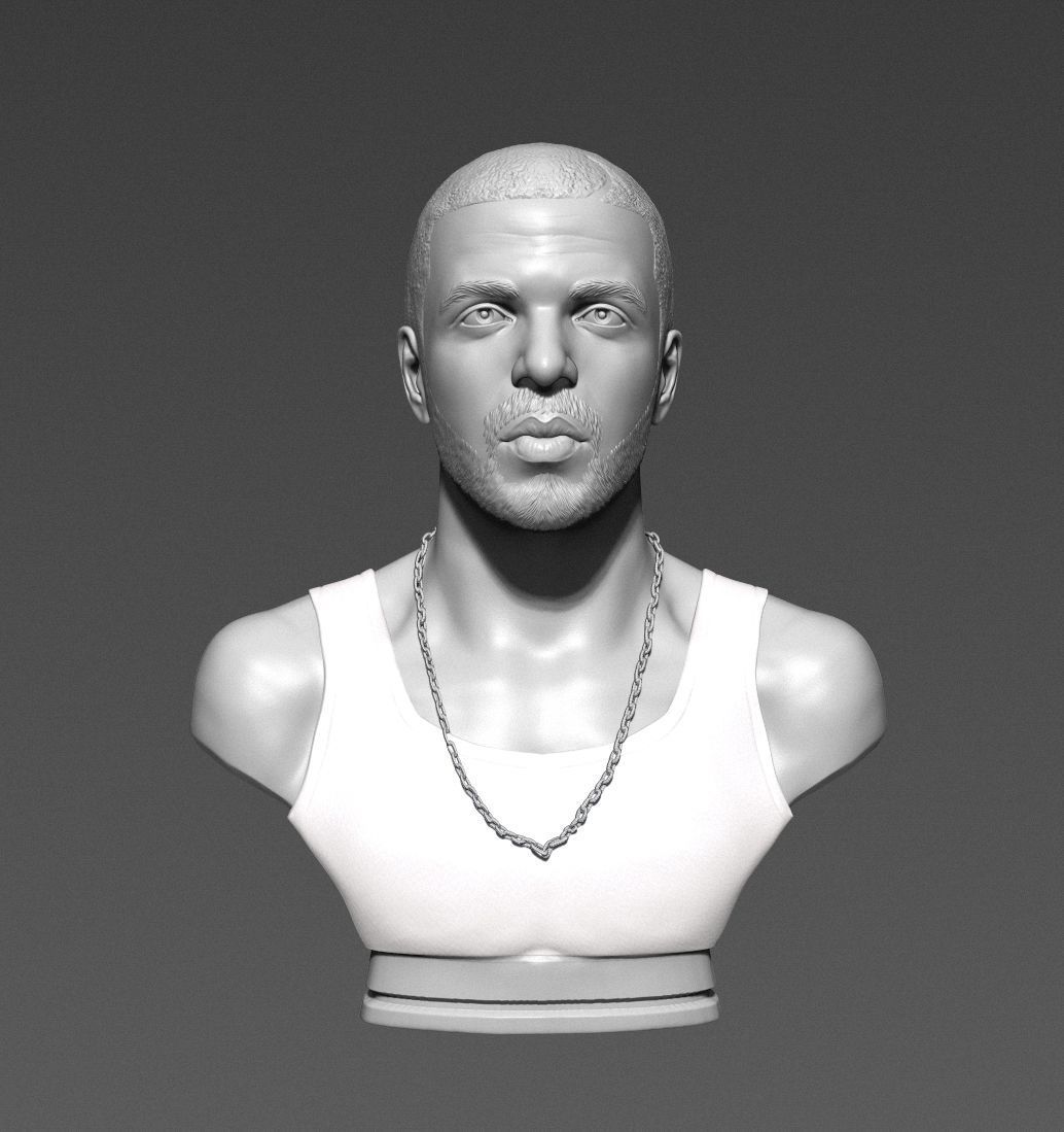 Drake sculpture Ready to Print 3D print model_1