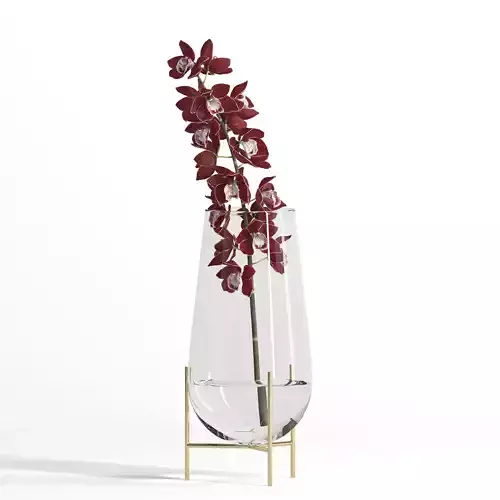 Cymbidium Fire Village