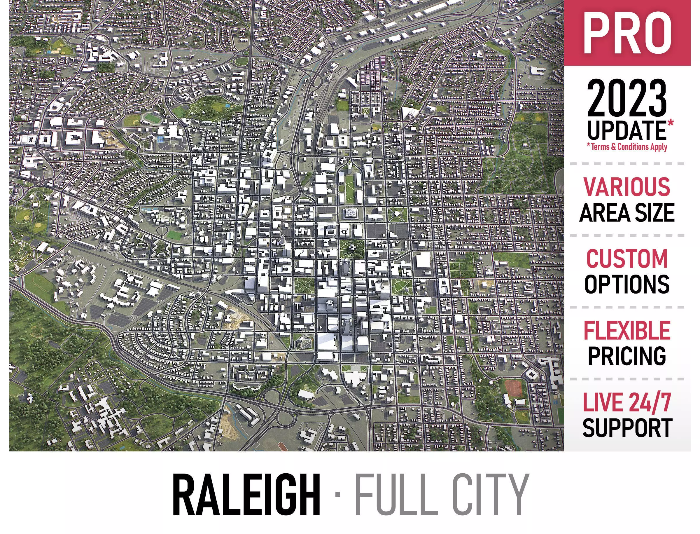 Raleigh Low-poly 3D model