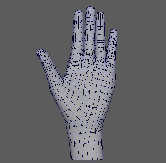 Low poly Hand base model Low-poly 3D model_4