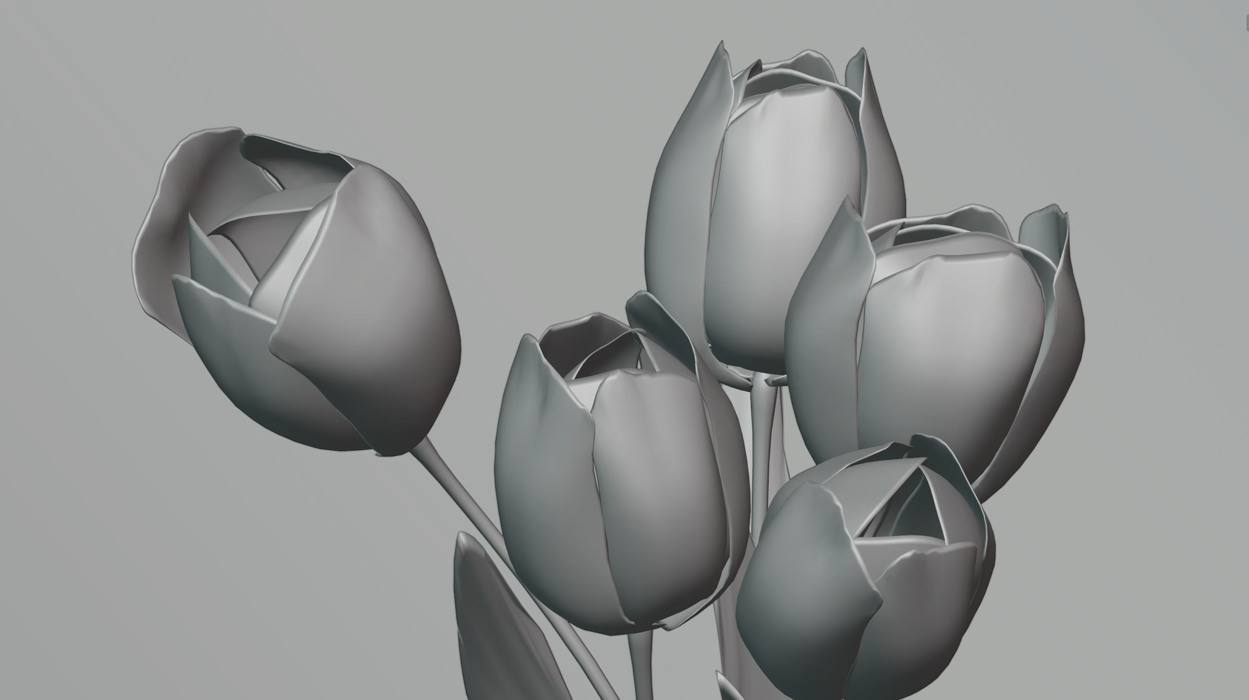 Tulips in a vase 3D model_4