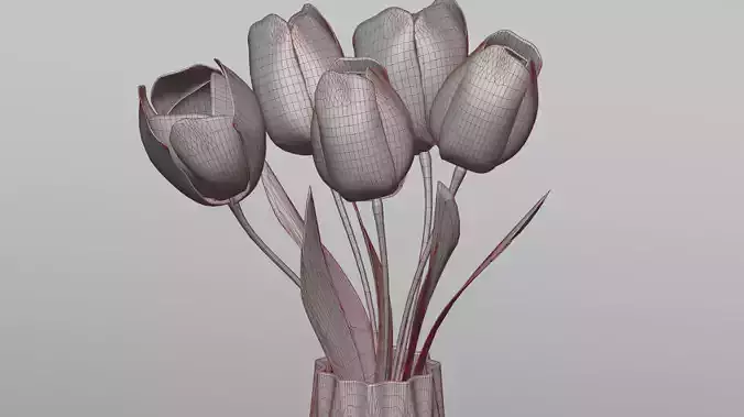 Tulips in a vase
