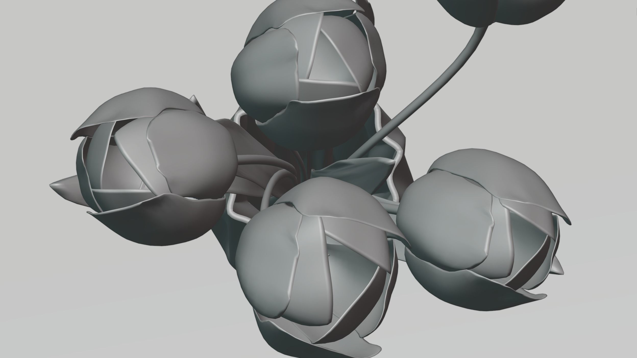 Tulips in a vase 3D model_6