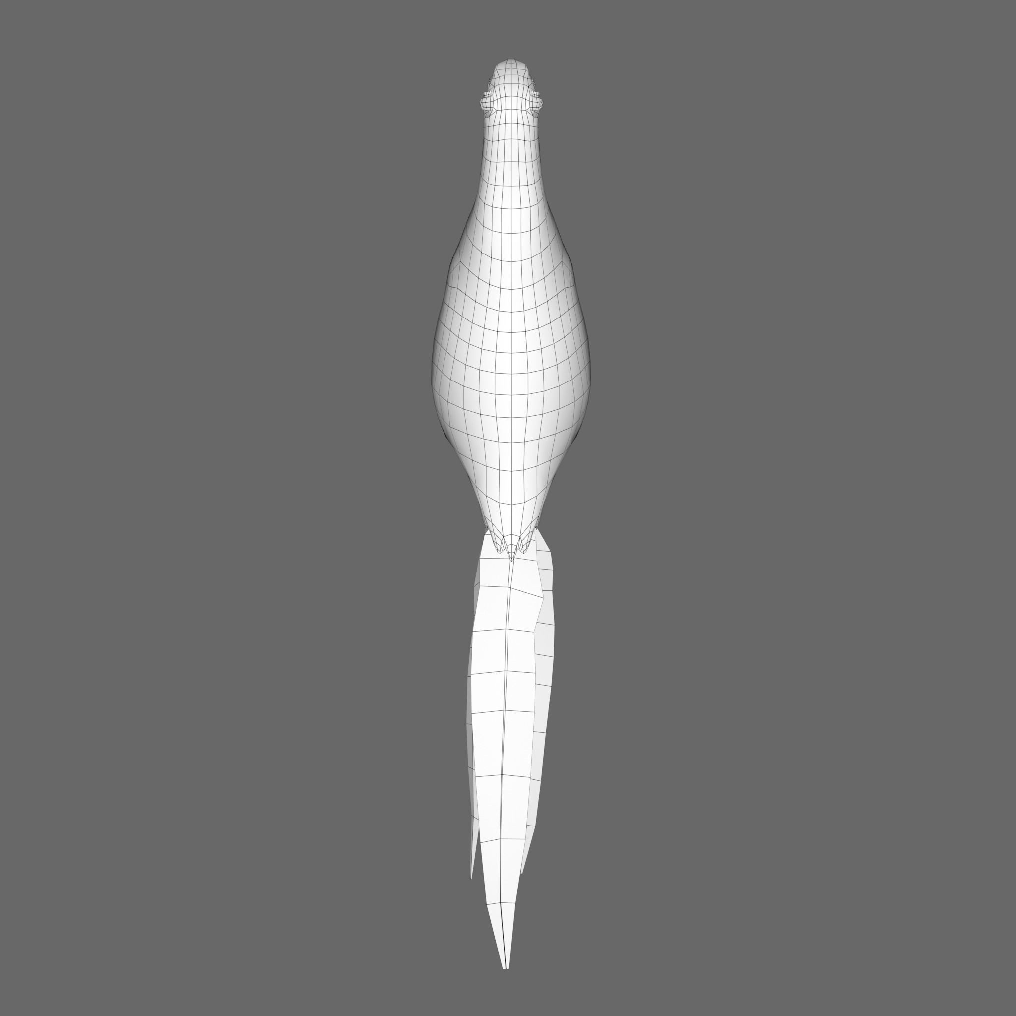 Pheasant 3D model_9