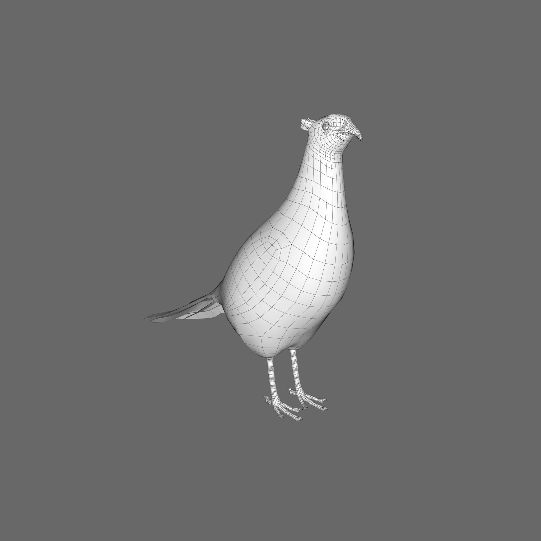 Pheasant 3D model_7