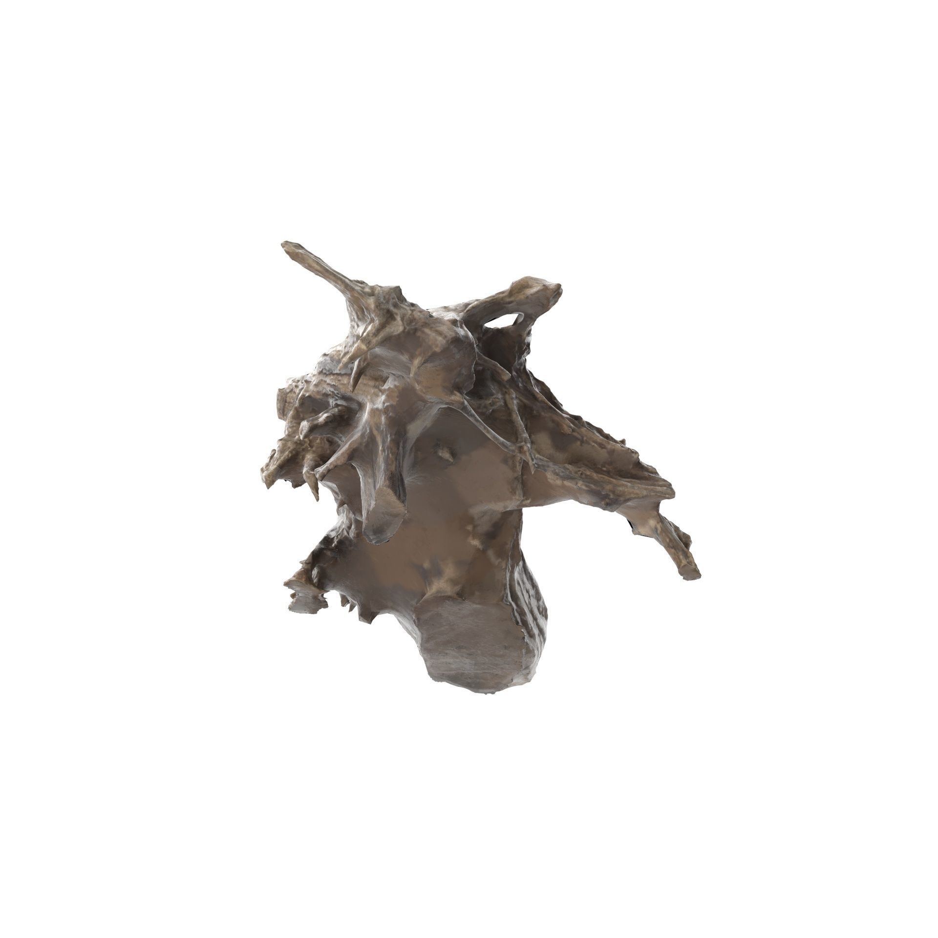 Tree Stump 01 - High and Low Poly versions Low-poly 3D model_15