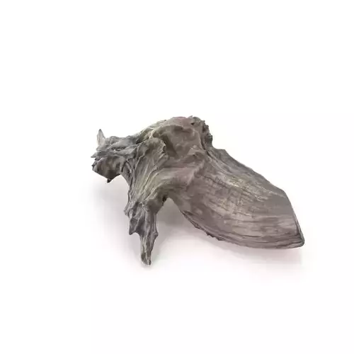 Tree Stump 01 - High and Low Poly versions Low-poly 3D model