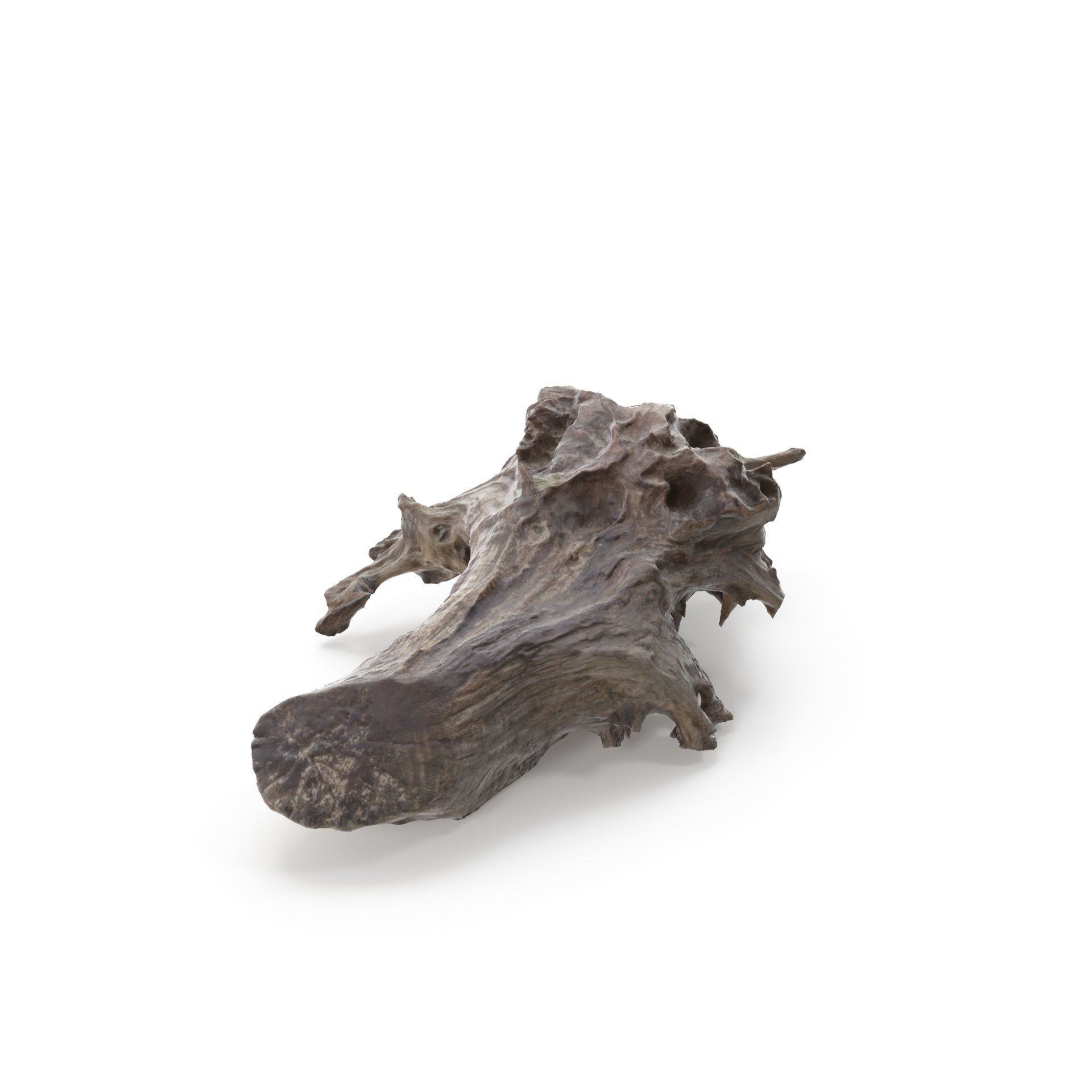 Tree Stump 01 - High and Low Poly versions Low-poly 3D model_9