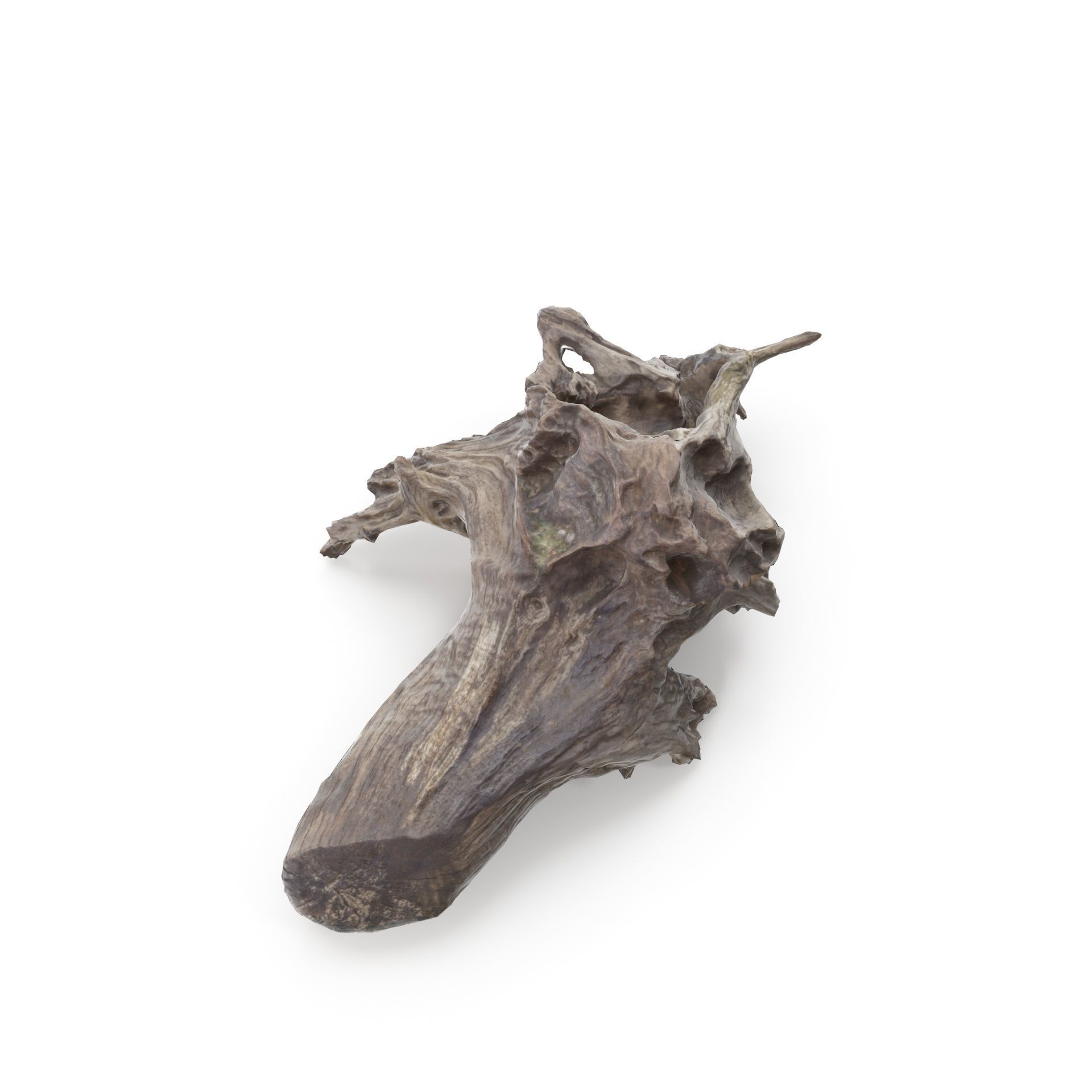 Tree Stump 01 - High and Low Poly versions Low-poly 3D model_5