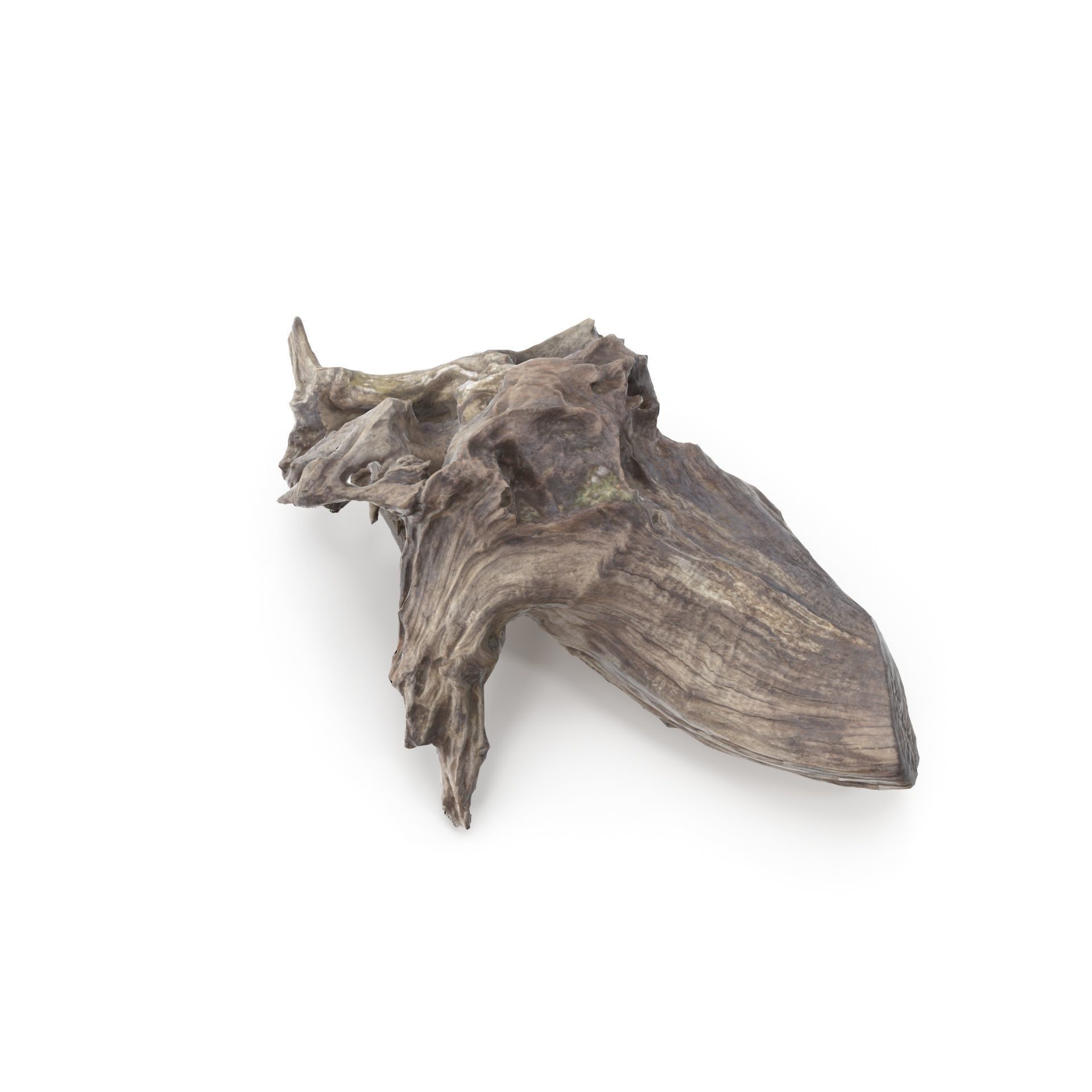 Tree Stump 01 - High and Low Poly versions Low-poly 3D model_6