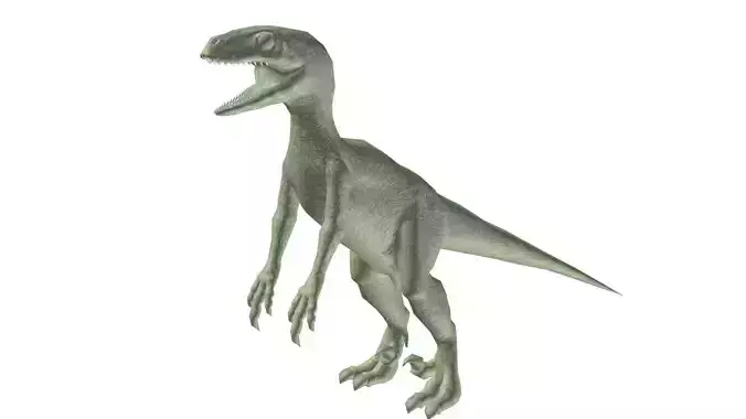 Raptor dinosaur 3D model
